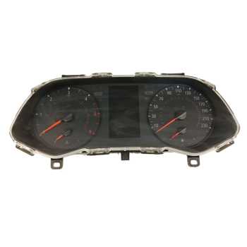 CUADRO INSTRUMENTOS 248102705R 