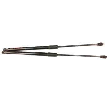 AMORTIGUADORES MALETERO / PORTON 904508213R 