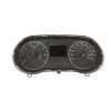 CUADRO INSTRUMENTOS 248090475R 