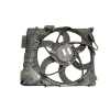 ELECTROVENTILADOR 6925702 