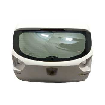 PORTON TRASERO 737001W220 