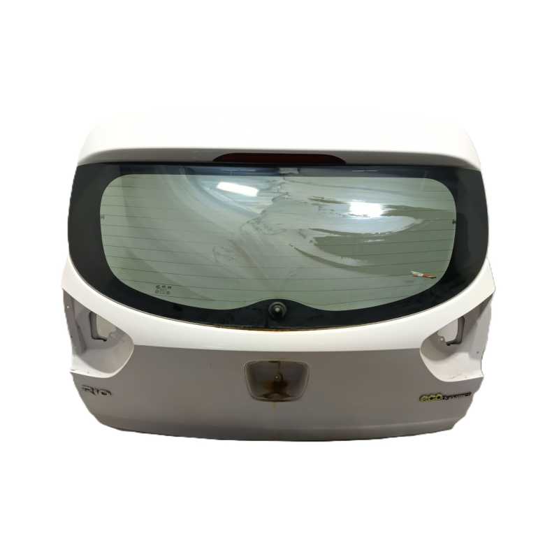 PORTON TRASERO 737001W220 