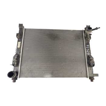 RADIADOR AGUA 214107326R 