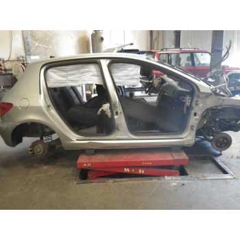 PEUGEOT 307 (S1)