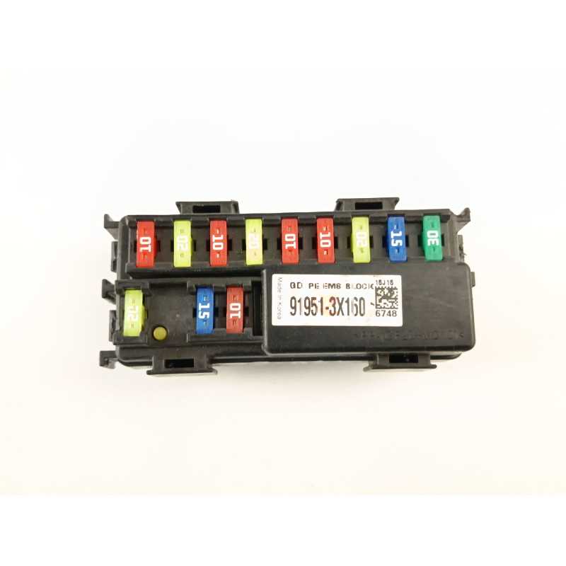 CAJA RELES / FUSIBLES 919513X160 