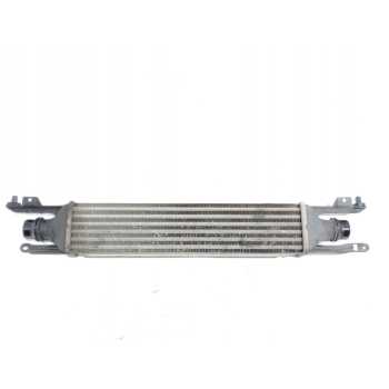 RADIADOR INTERCOOLER 55702004 