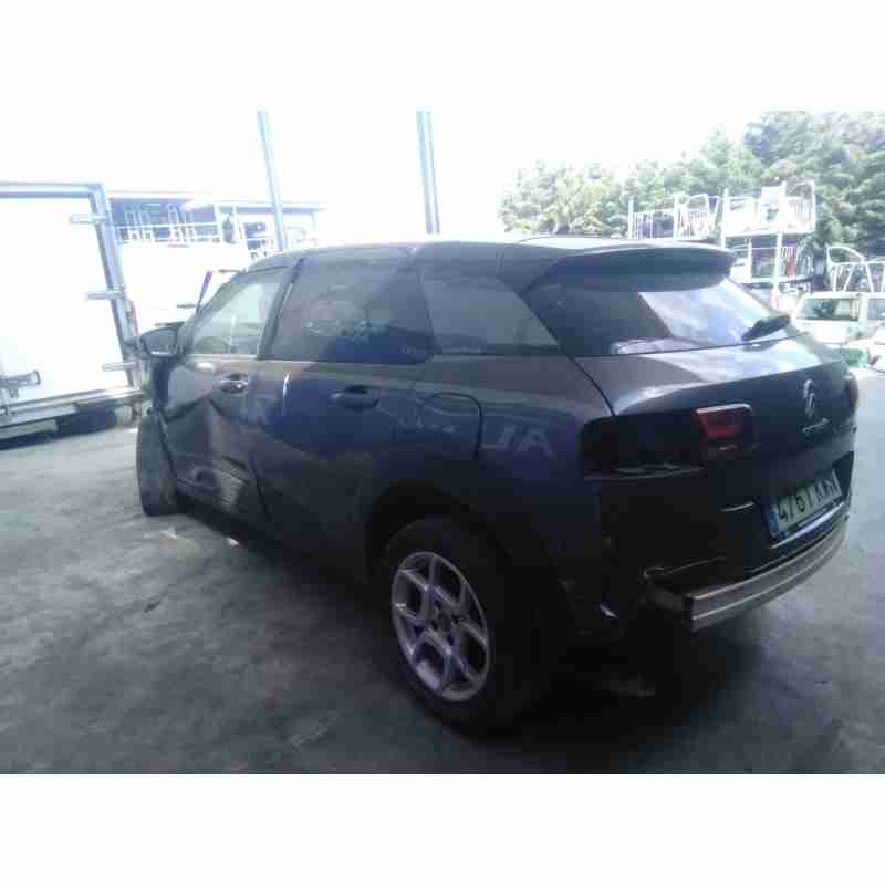 citroën c4 cactus del año 2019