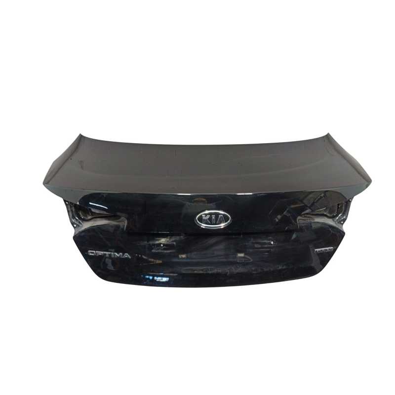 PORTON TRASERO 692002T010 