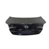 PORTON TRASERO 692002T010 