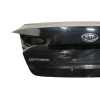 PORTON TRASERO 692002T010 