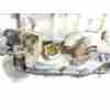 CAJA CAMBIOS P52119462AC AUTOMATICA VM31C