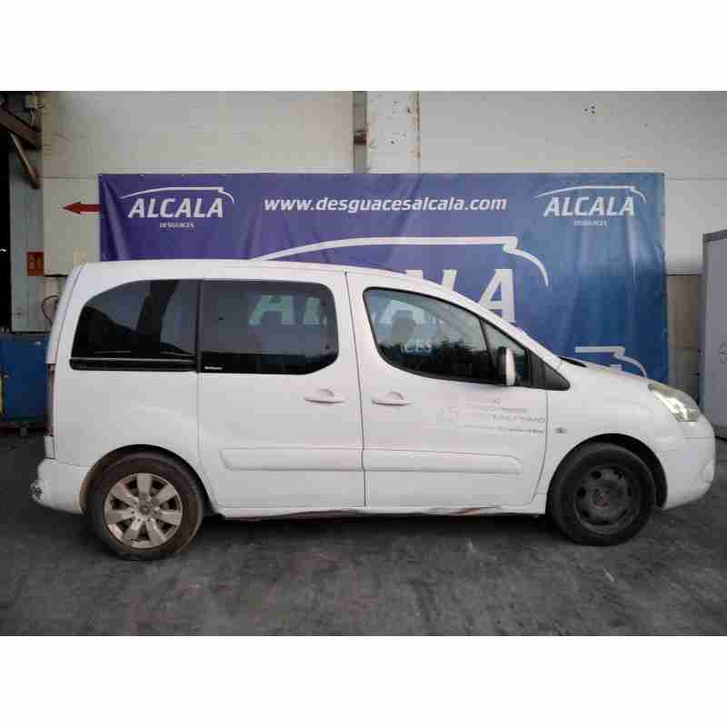 citroën berlingo cuadro del año 2010