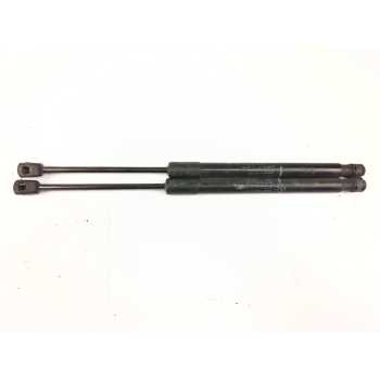 AMORTIGUADORES MALETERO / PORTON 904520004R 
