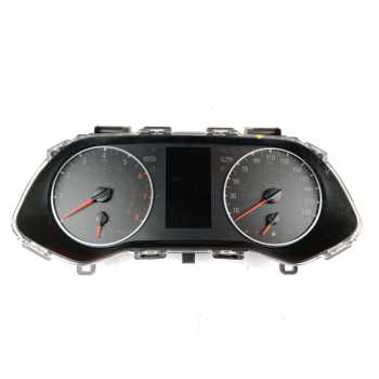 CUADRO INSTRUMENTOS 248094722R 