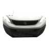 PARAGOLPES DELANTERO 1615658180 