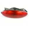 FARO ANTINIEBLA TRASERO 6351K5 