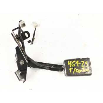 BROCHE CINTURON TRASERO CENTRAL 7346060030C0 