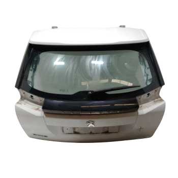 PORTON TRASERO 9831045880 