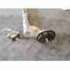 PUENTE TRASERO 555012648R 