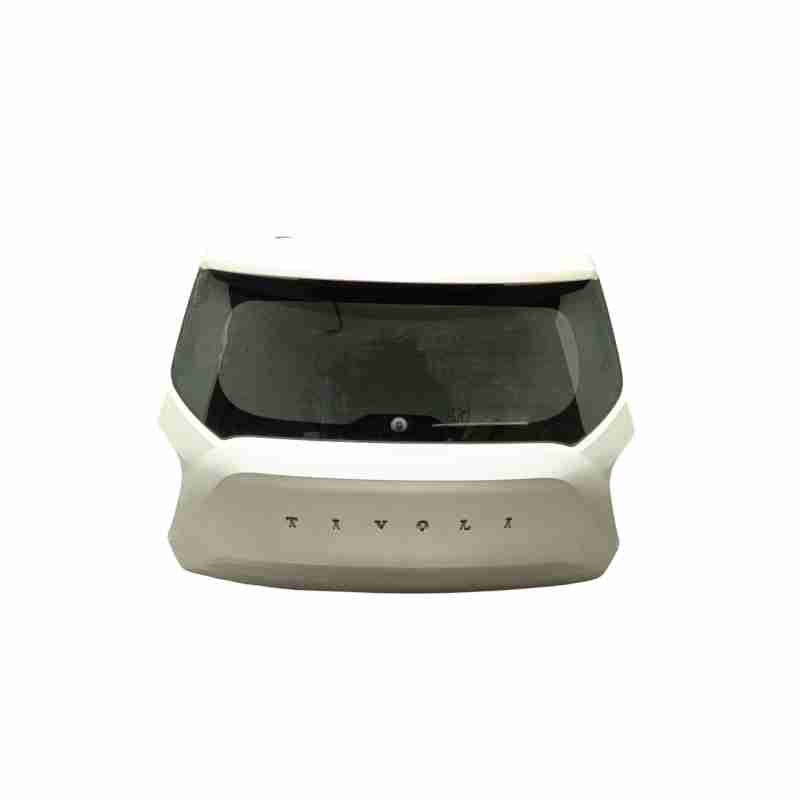 PORTON TRASERO 6401135050 