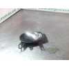 MANETA INTERIOR DELANTERA DERECHA 80670BA61A 