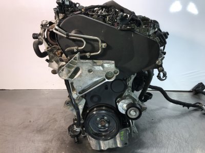 MOTOR COMPLETO VOLKSWAGEN GOLF VII LIM. (5G1) Advance BlueMotion