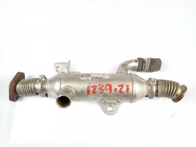 ENFRIADOR GASES CITROËN XSARA BERLINA 2.0 HDi SX (66kW)