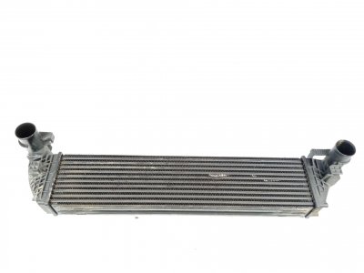 INTERCOOLER RENAULT LAGUNA II (BG0) Authentique