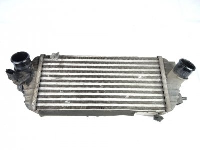 radiador-intercooler de Concept 