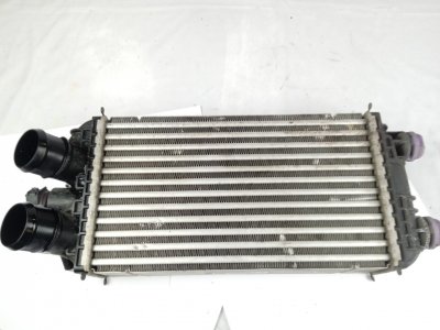 radiador-intercooler de BERLINA SHINE 