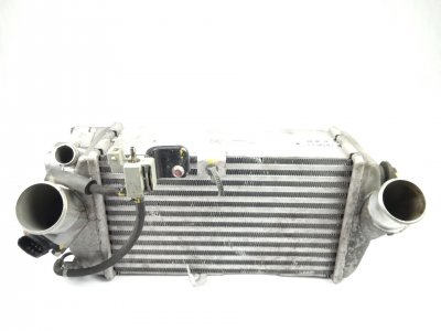 radiador-intercooler de Classic blue 