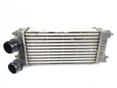 INTERCOOLER de Business 