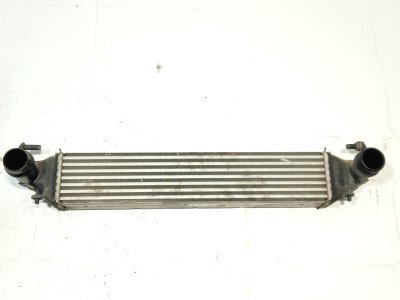 radiador-intercooler de 1.6 D Multijet (334AXA1B, 334AXA11) 