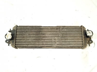 intercooler de 1.9 dCi 100 (EL0C) 