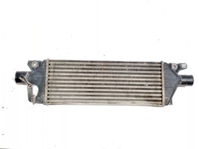 radiador-intercooler de 2.0 DDiS 4x4 (RW 420D) 