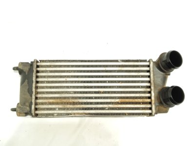 radiador-intercooler de 1.6 BlueHDi 120 