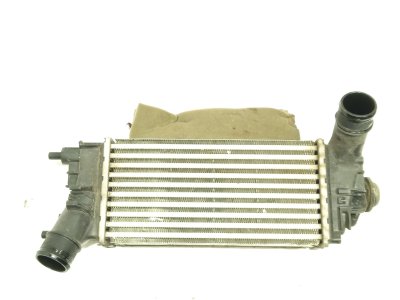 radiador-intercooler de 1.0 EcoBoost mHEV 