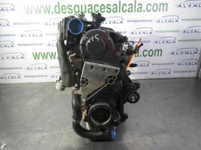 MOTOR COMPLETO SEAT IBIZA (6L1) Hit