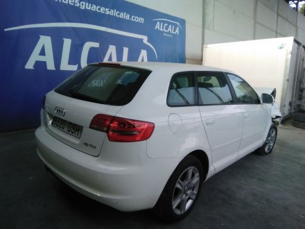 Vehiculo en el desguace: AUDI A3 (8P) 1.6 TDI Ambiente