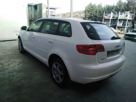 Vehiculo en el desguace: AUDI A3 (8P) 1.6 TDI Ambiente