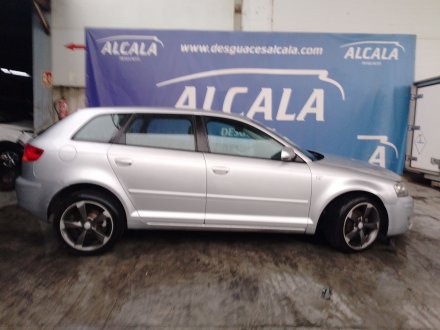 Vehiculo en el desguace: AUDI A3 (8P1) 1.9 TDI