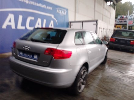 Vehiculo en el desguace: AUDI A3 (8P1) 1.9 TDI