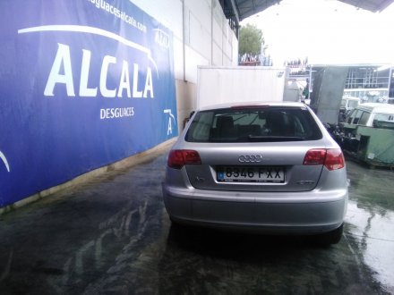 Vehiculo en el desguace: AUDI A3 (8P) 1.9 TDI