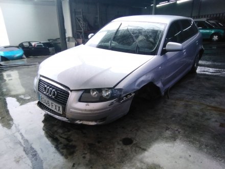 Vehiculo en el desguace: AUDI A3 (8P) 1.9 TDI