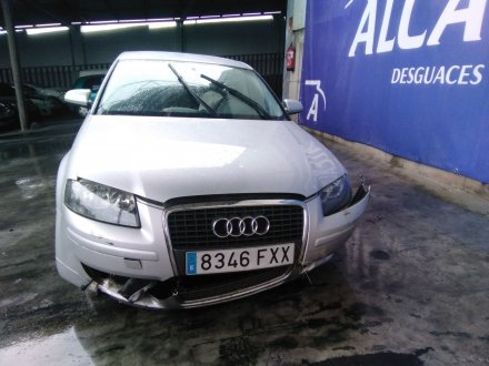 Vehiculo en el desguace: AUDI A3 (8P) 1.9 TDI