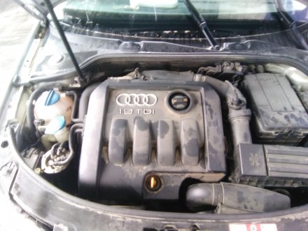 Vehiculo en el desguace: AUDI A3 (8P) 1.9 TDI